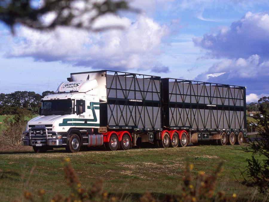  Scania T144G 530 6x4 1995 года  (AU) (фото 2 из 2)